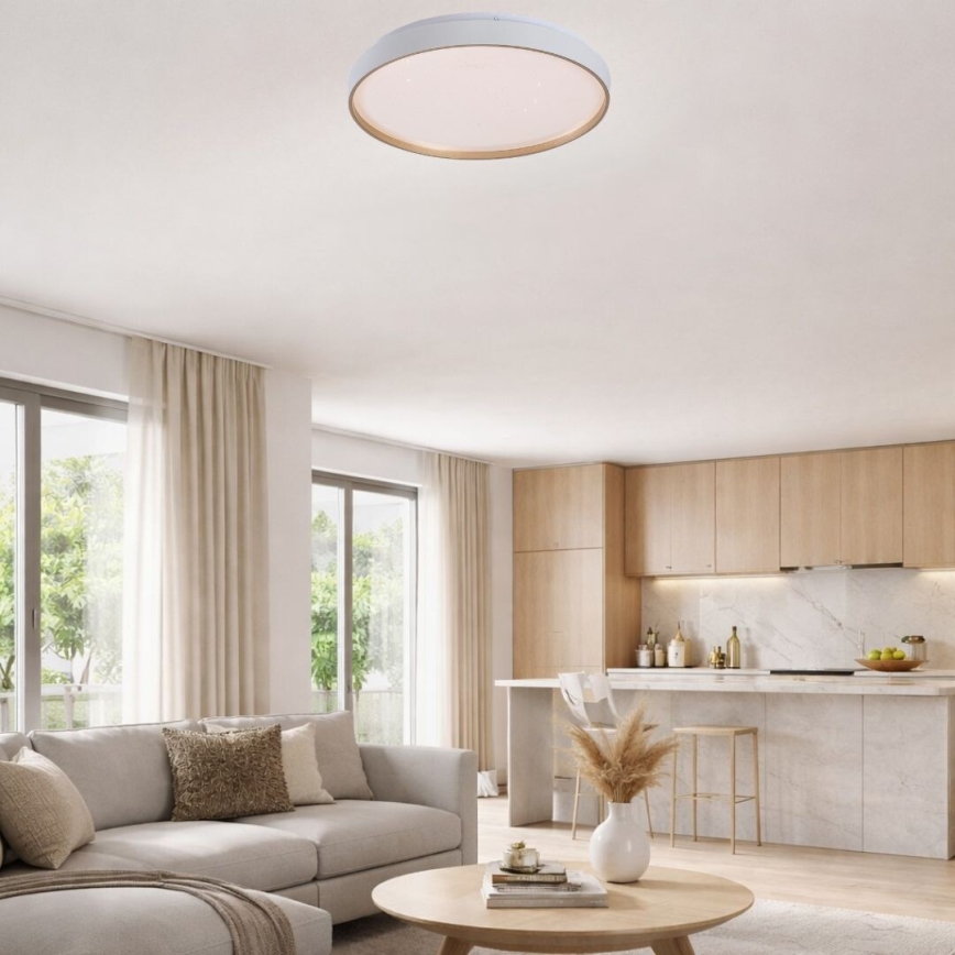 Rabalux - LED dimmelhető mennyezeti lámpa LED/80W/230V 3000–6500K átm. 77 cm + távirányító