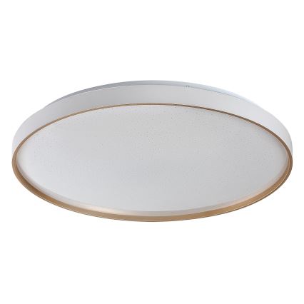 Rabalux - LED dimmelhető mennyezeti lámpa LED/80W/230V 3000–6500K átm. 77 cm + távirányító