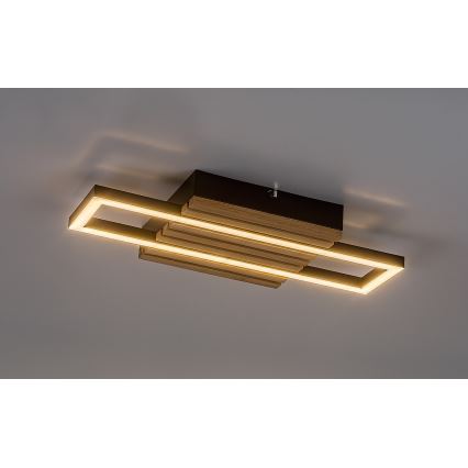 Rabalux - LED mennyezeti lámpa LED/12W/230V 3000/4500/6000K