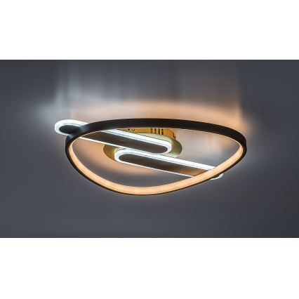 Rabalux - LED dimmelhető mennyezeti lámpa LED/60W/230V 3000-6000K 53x45 cm + távirányító