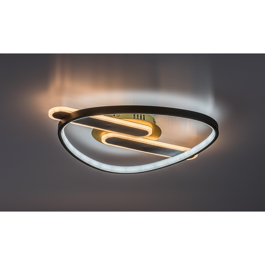 Rabalux - LED dimmelhető mennyezeti lámpa LED/60W/230V 3000-6000K 53x45 cm + távirányító