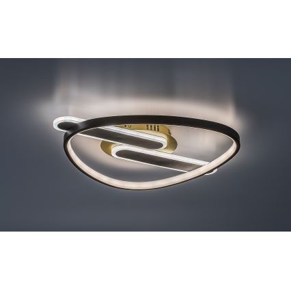 Rabalux - LED dimmelhető mennyezeti lámpa LED/60W/230V 3000-6000K 53x45 cm + távirányító