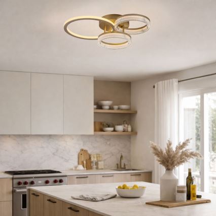Rabalux - Fényerőszabályozható LED mennyezeti lámpa LED/38W/230V 3000-6500K 58,5x38 cm + távirányítóval