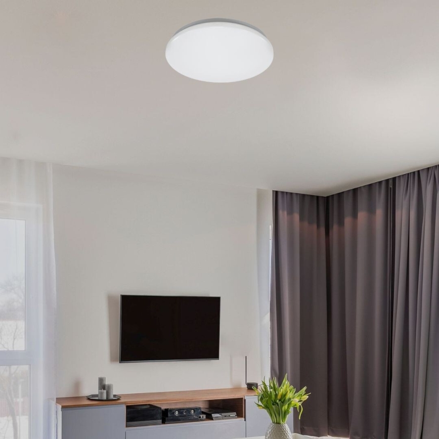 Rabalux - LED mennyezeti lámpa LED/12W/230V 4000K átm. 25,5 cm