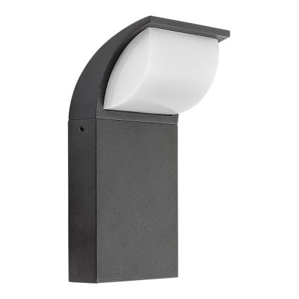 Rabalux - LED Kültéri fali lámpa LED/9W/230V IP65