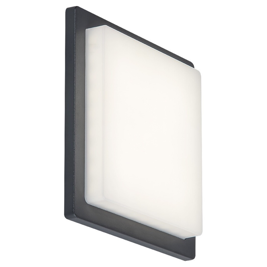 Rabalux - LED Kültéri fali lámpa LED/8W/230V IP65