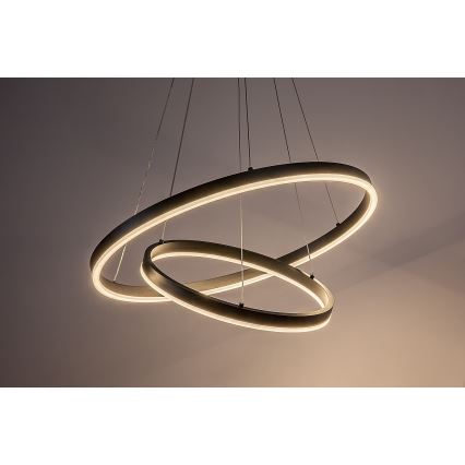 Rabalux - LED dimmelhető kábeles csillár LED/80W/230V 3000-6500K + távirányító