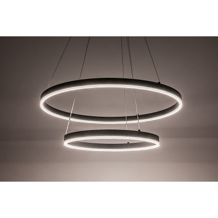 Rabalux - LED dimmelhető kábeles csillár LED/80W/230V 3000-6500K + távirányító