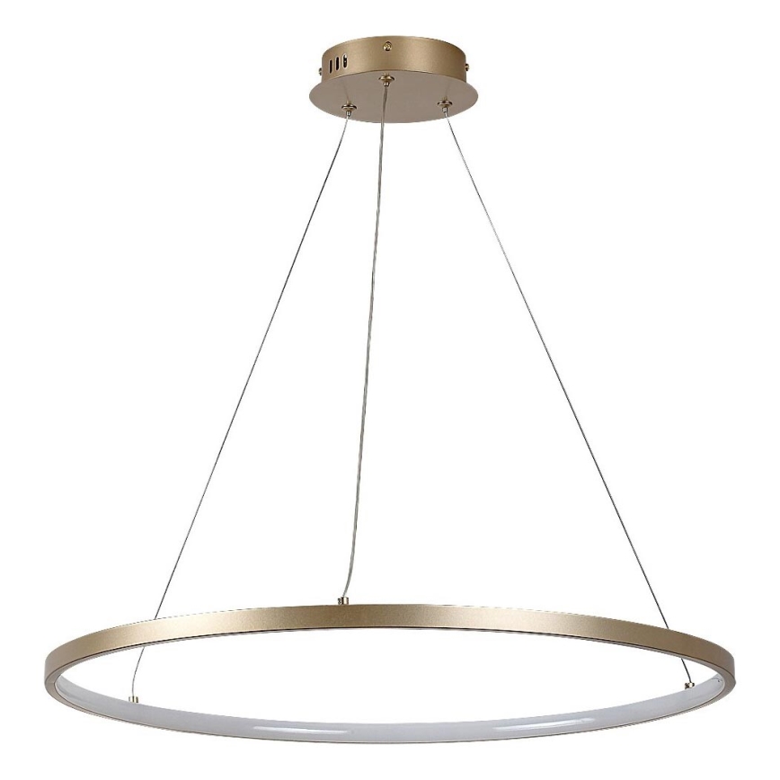 Rabalux - LED csillár kábelen LED/55W/230V 3000K