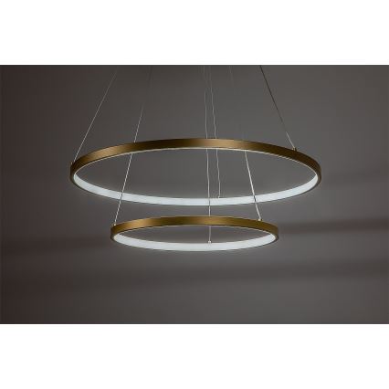 Rabalux - LED dimmelhető kábelre függesztett csillár LED/75W/230V 3000-6500K + távirányító