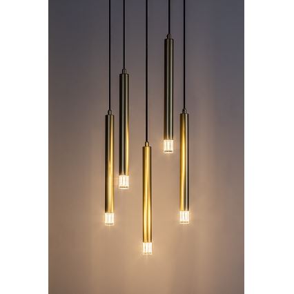 Rabalux - Csillár zsinóron 5xG9/5W/230V arany