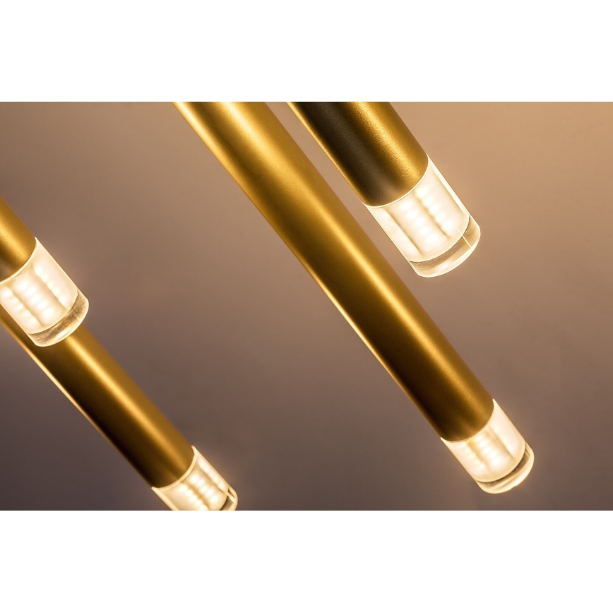 Rabalux - Csillár zsinóron 10xG9/5W/230V arany