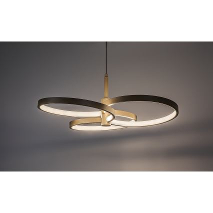 Rabalux - LED dimmelhető, kábelre függesztett csillár LED/50W/230V 3000-6500K + távirányító