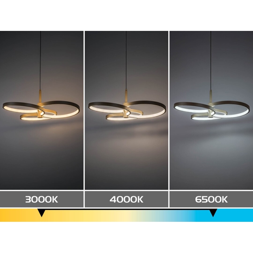 Rabalux - LED dimmelhető, kábelre függesztett csillár LED/50W/230V 3000-6500K + távirányító
