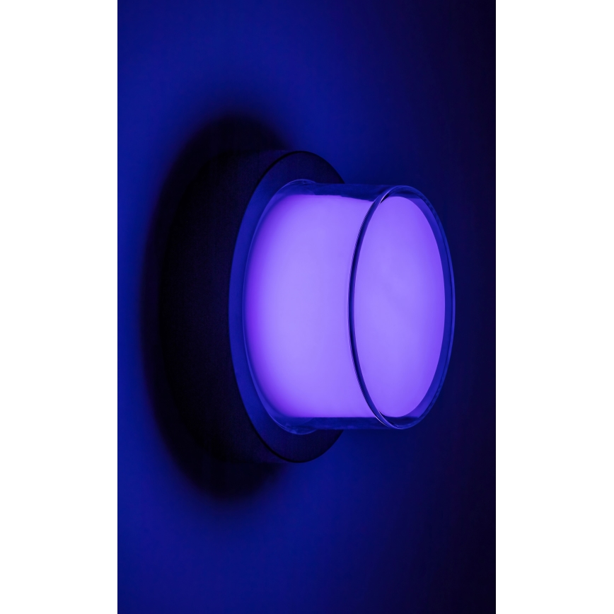 Rabalux - LED RGBW Dimmelhető kültéri fali lámpa LED/10W/230V IP54 Wi-Fi Tuya