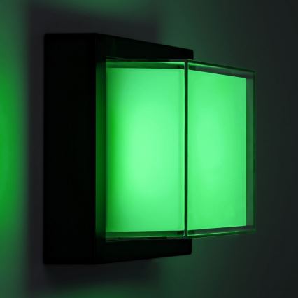 Rabalux - LED RGBW Dimmelhető kültéri fali lámpa LED/10W/230V IP54 Wi-Fi Tuya