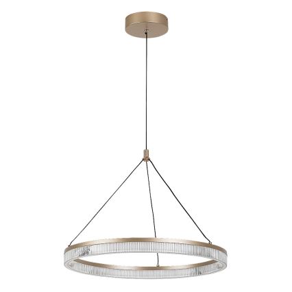 Rabalux - LED fényerőszabályozható kábeles csillár LED/24W/230V 3000–6500K + távirányító