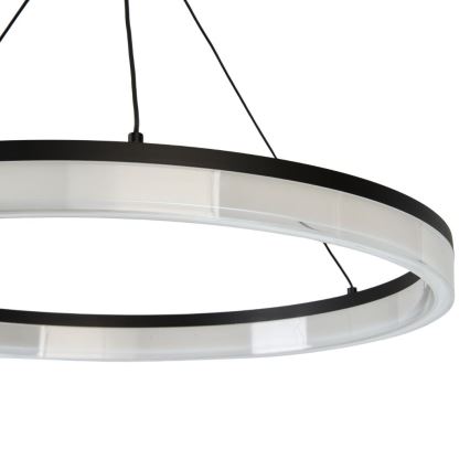Rabalux - LED dimmelhető csillár kábeles felfüggesztéssel LED/24W/230V 3000-6500K + távirányító