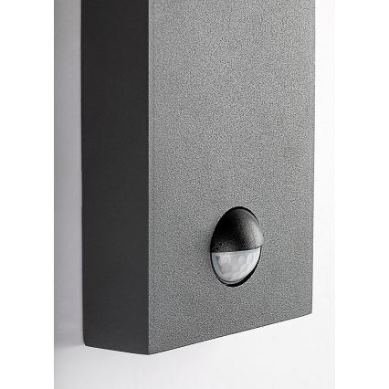 Rabalux - Kültéri fali lámpa mozgásérzékelővel 1xE27/40W/230V IP44