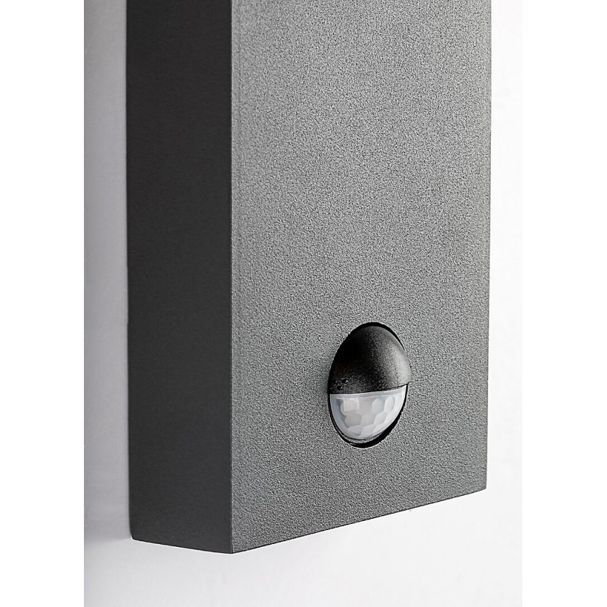 Rabalux - Kültéri fali lámpa mozgásérzékelővel 1xE27/40W/230V IP44