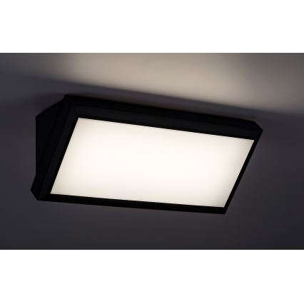 Rabalux - LED Kültéri fali lámpa LED/12W/230V IP54