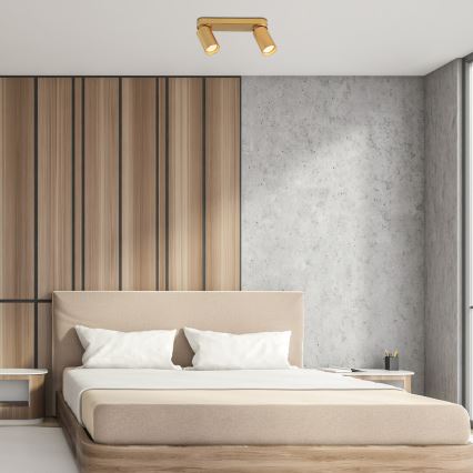 Rabalux - Spotlámpa 2xGU10/5W/230V arany