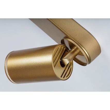 Rabalux - Spotlámpa 4xGU10/5W/230V arany