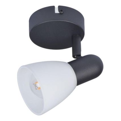 Rabalux - Spotlámpa 1xE14/40W/230V