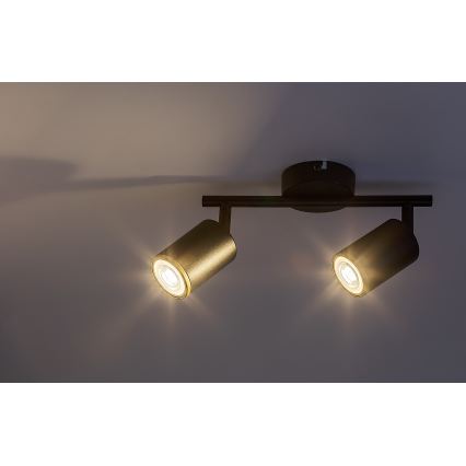 Rabalux - Spotlámpa 2xGU10/15W/230V fekete