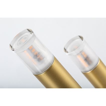 Rabalux - Asztali lámpa 3xG9/5W/230V arany