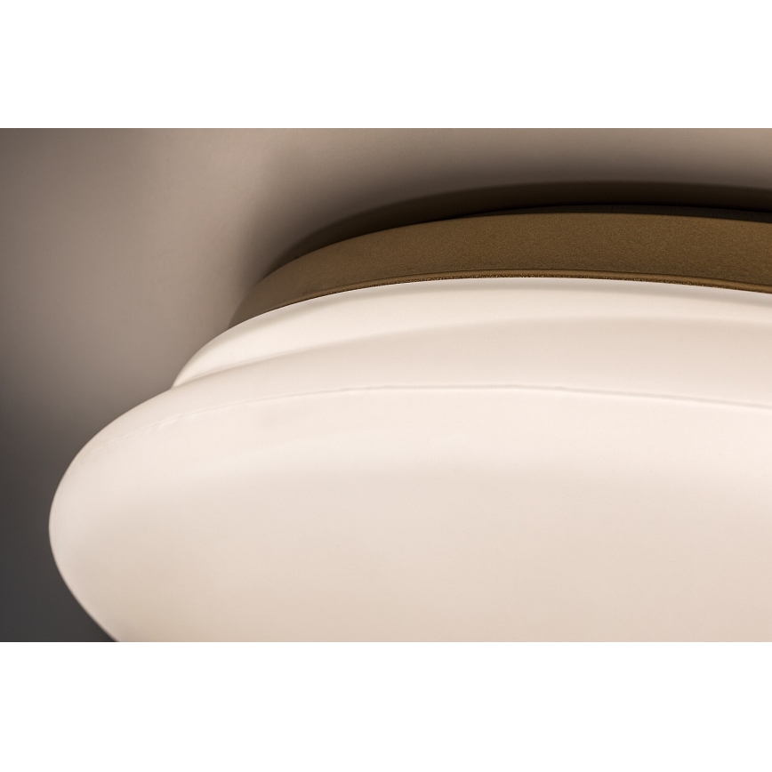 Rabalux - LED fürdőszobai mennyezeti lámpatest LED/24W/230V IP44 átmérő 41 cm