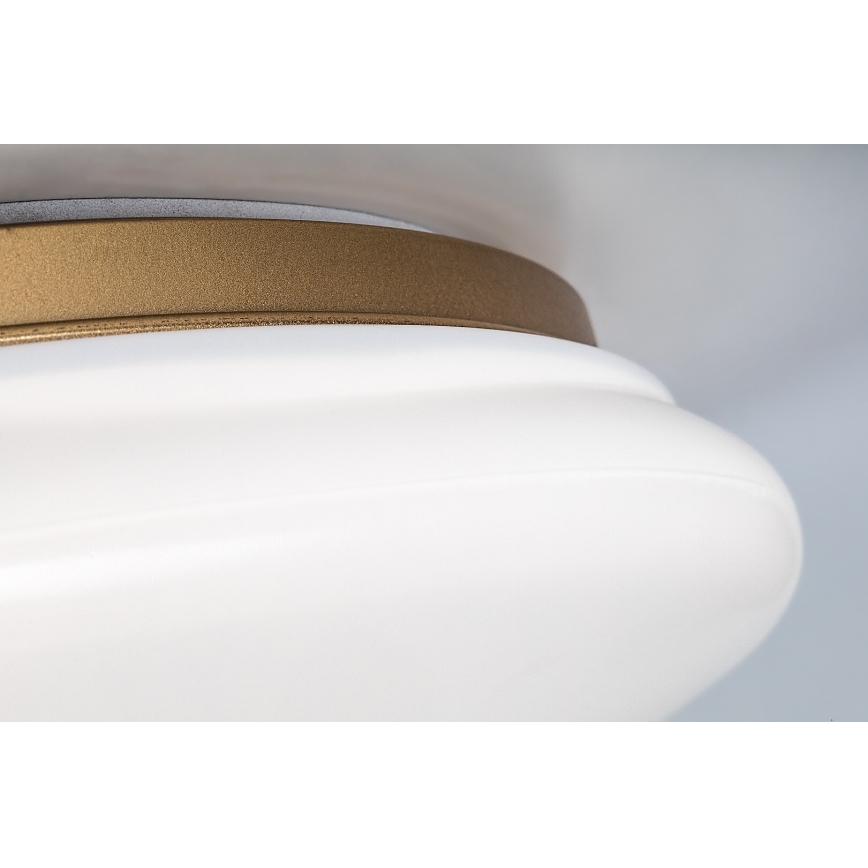 Rabalux - LED fürdőszobai mennyezeti lámpatest LED/24W/230V IP44 átmérő 41 cm