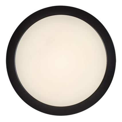 Rabalux - LED fürdőszobai mennyezeti lámpa LED/24W/230V átm. 22 cm IP44 fekete