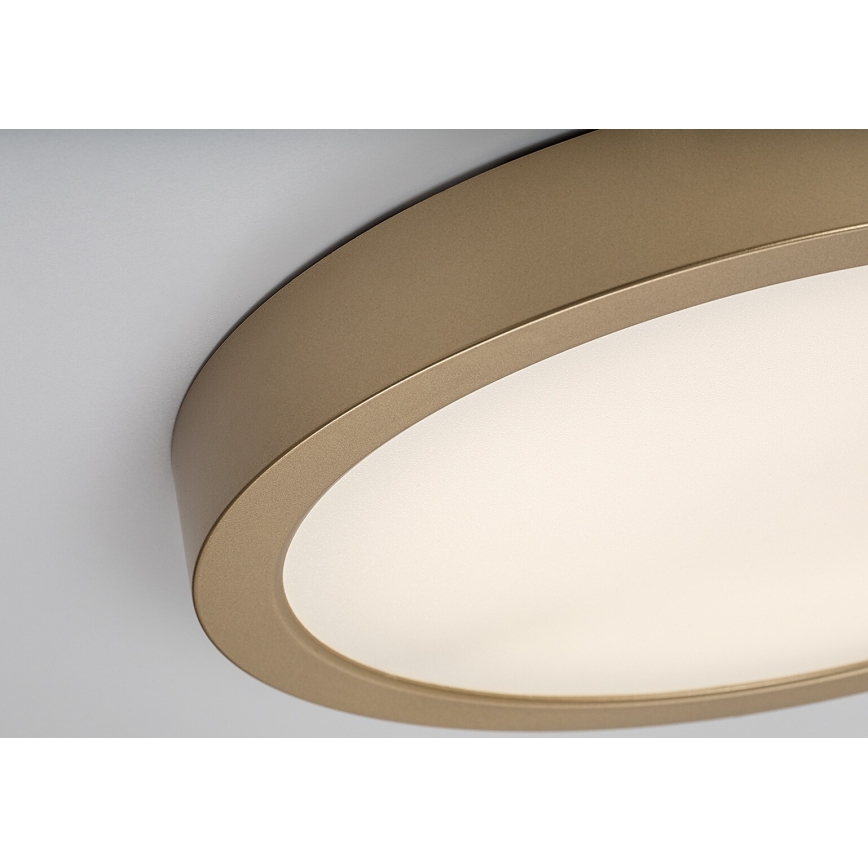 Rabalux - LED fürdőszobai mennyezeti lámpa LED/30W/230V átmérő 30 cm IP44 aranyszínű