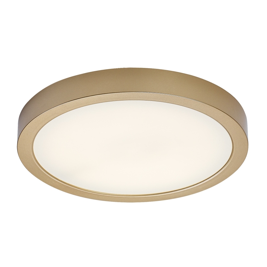 Rabalux - LED fürdőszobai mennyezeti lámpa LED/30W/230V átmérő 30 cm IP44 aranyszínű