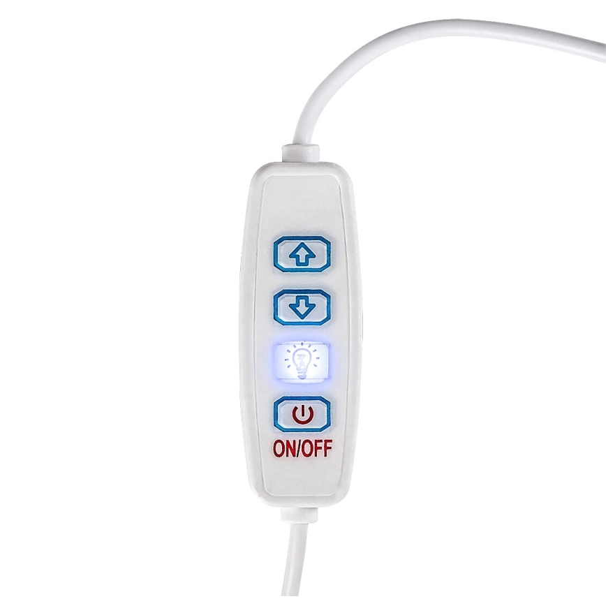 Rabalux - LED állítható fényerejű asztali lámpa LED/1,2W/5V 3000K bükk