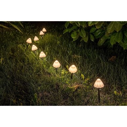 Rabalux - LED Napelemes lámpa 10xLED/0,2W/1,2V IP44 300 mAh