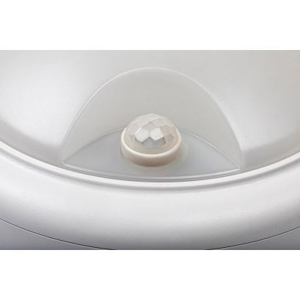 Rabalux - LED Kültéri fali lámpa érzékelővel LED/15W/230V IP54