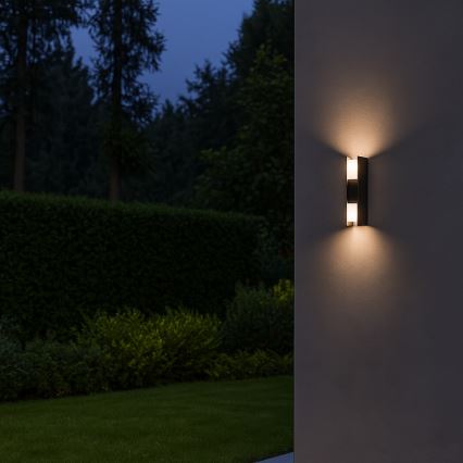 Rabalux - Kültéri LED fali lámpatest LED/13W/230V IP65 antracitszürke