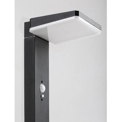 Rabalux - Dimmelhető LED napelemes kültéri lámpa érzékelővel, 4,4 W/3,7 V, IP54, antracit, 2200 mAh