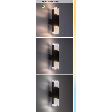 Rabalux - LED Kültéri fali lámpa LED/7W/230V 2700/4000/6000K IP54