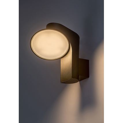 Rabalux - LED Kültéri fali lámpa LED/12W/230V IP54