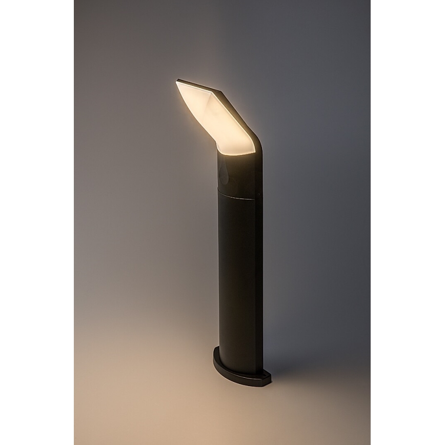 Rabalux - LED Kültéri lámpa LED/10W/230V IP54
