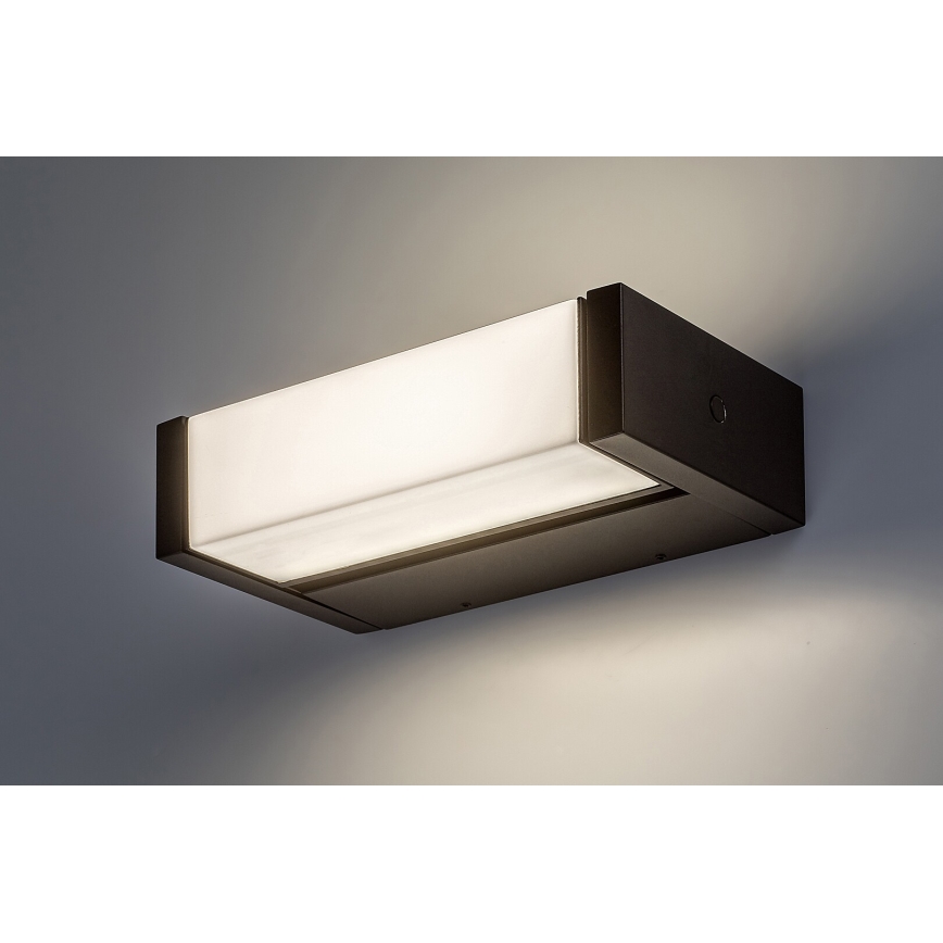 Rabalux - LED Kültéri fali lámpa LED/18W/230V IP54
