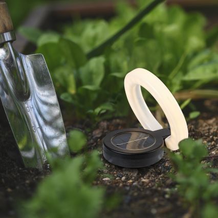 Rabalux - LED napelemes lámpa LED/0,05W/1,2V IP44 300 mAh