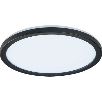 Rabalux - LED Fényerőszabályozható kültéri mennyezeti lámpatest LED/15W/230V Wi-Fi Tuya 2700-6500K IP44 + távirányító