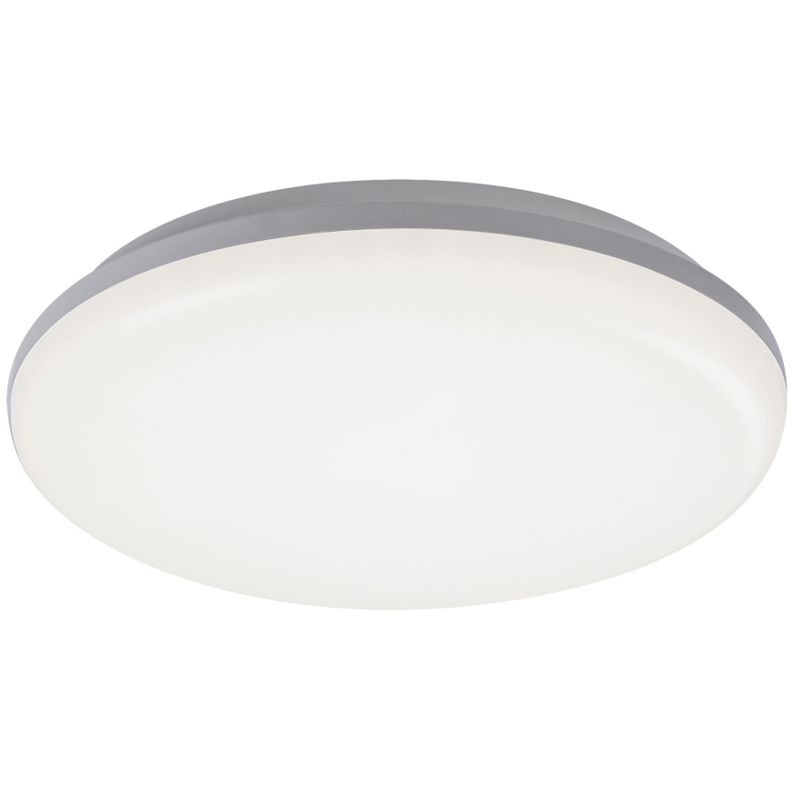 Rabalux - LED Kültéri mennyezeti lámpa LED/24W/230V IP64