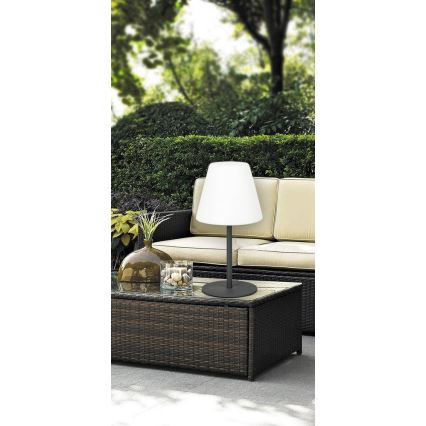 Rabalux 8658 - Kültéri lámpa LIDA 1xE27/23W