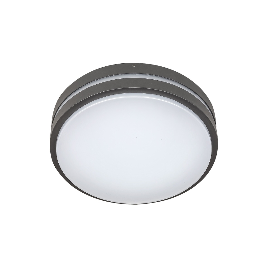 Rabalux 8847 - LED Kültéri fali lámpa HAMBURG LED/10W/230V IP44
