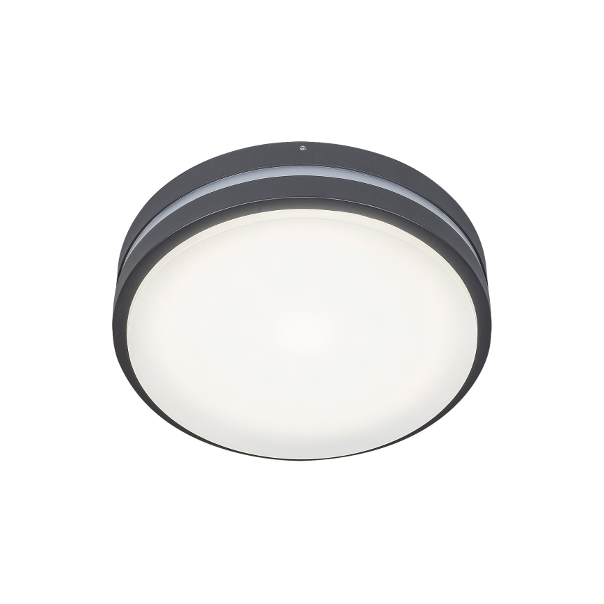 Rabalux 8847 - LED Kültéri fali lámpa HAMBURG LED/10W/230V IP44